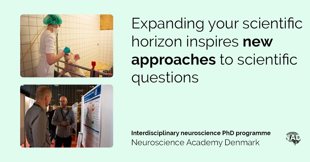 naddenmark's tweet image. Neuroscience Academy Denmark (NAD) offers 16 fully funded 4-year PhD fellowships to national and international candidates pursuing a career in neuroscience research 🧠   

Application deadline: August 11, 4:00 PM (CEST) ⏰ 

Read more and apply 👉 bit.ly/nad-phd-2025