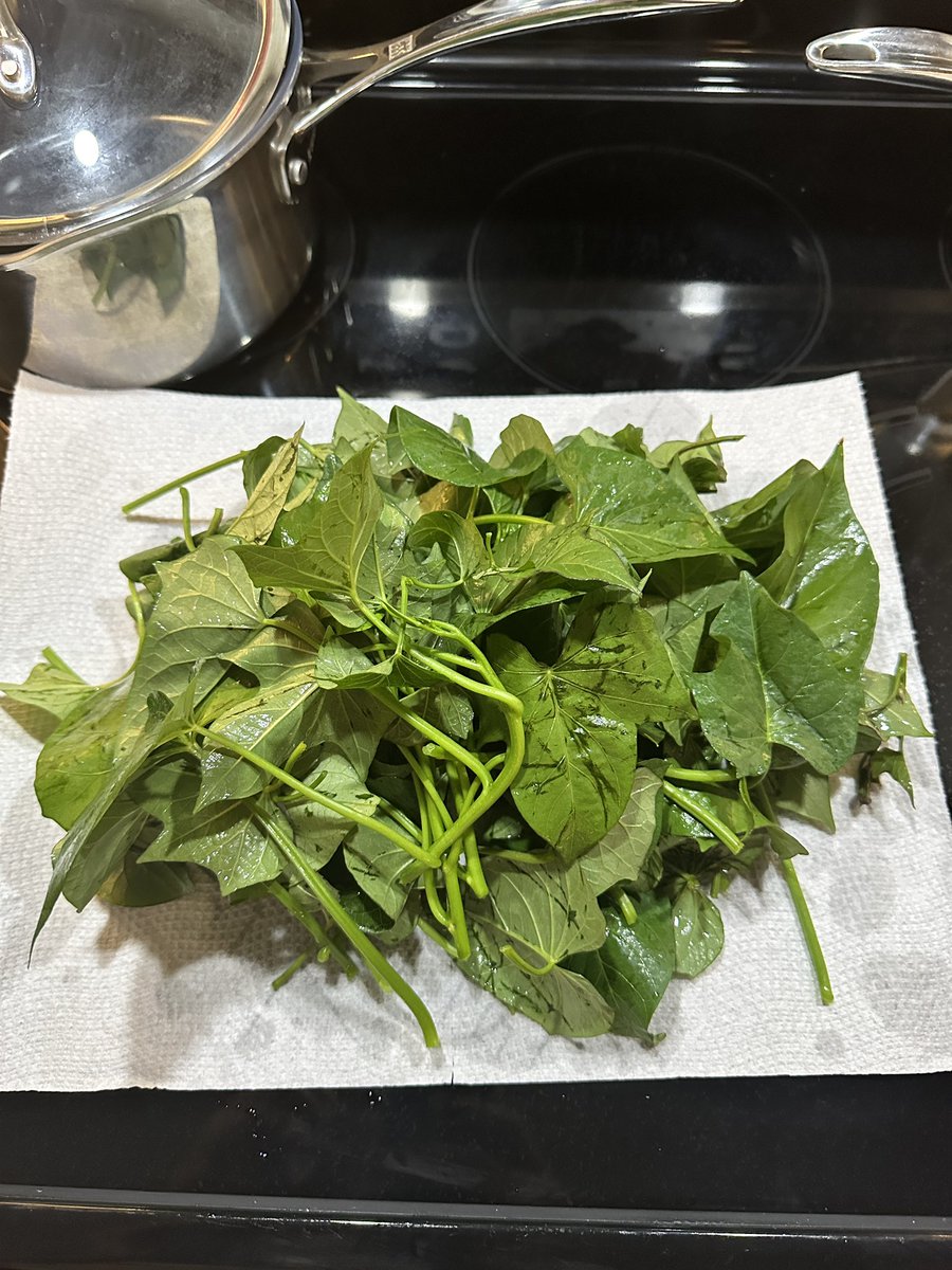 RRifflard's tweet photo. Had a craving for sweet potato leaves, something that we cannot find in supermarkets where I live. Haven’t had them since I visited Taiwan last, so I decided to grow them myself and had my first harvest. So good! https://t.co/x1ko3MD0JZ