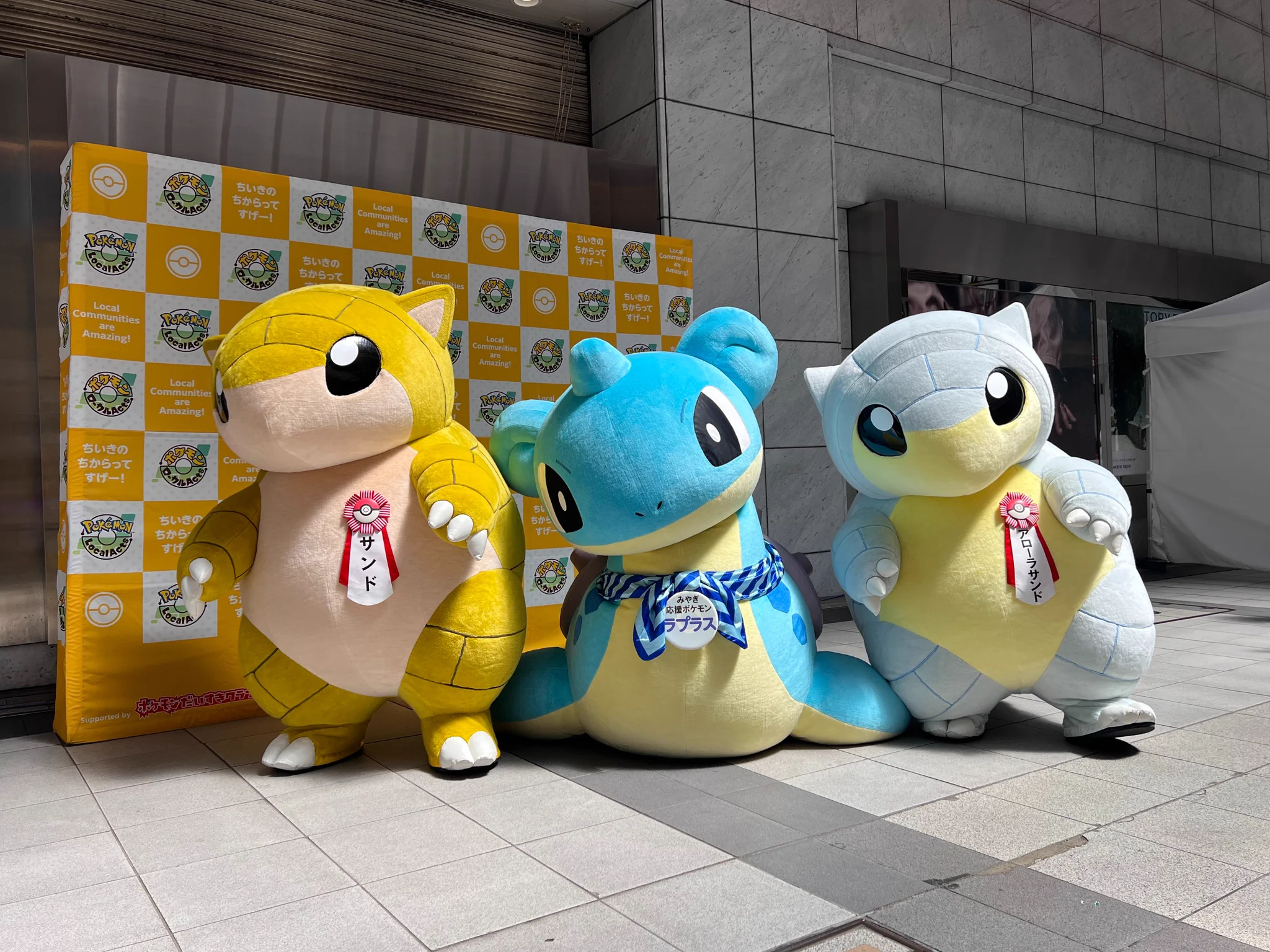 ポケモンだいすきクラブ編集部【公式】 på X: 