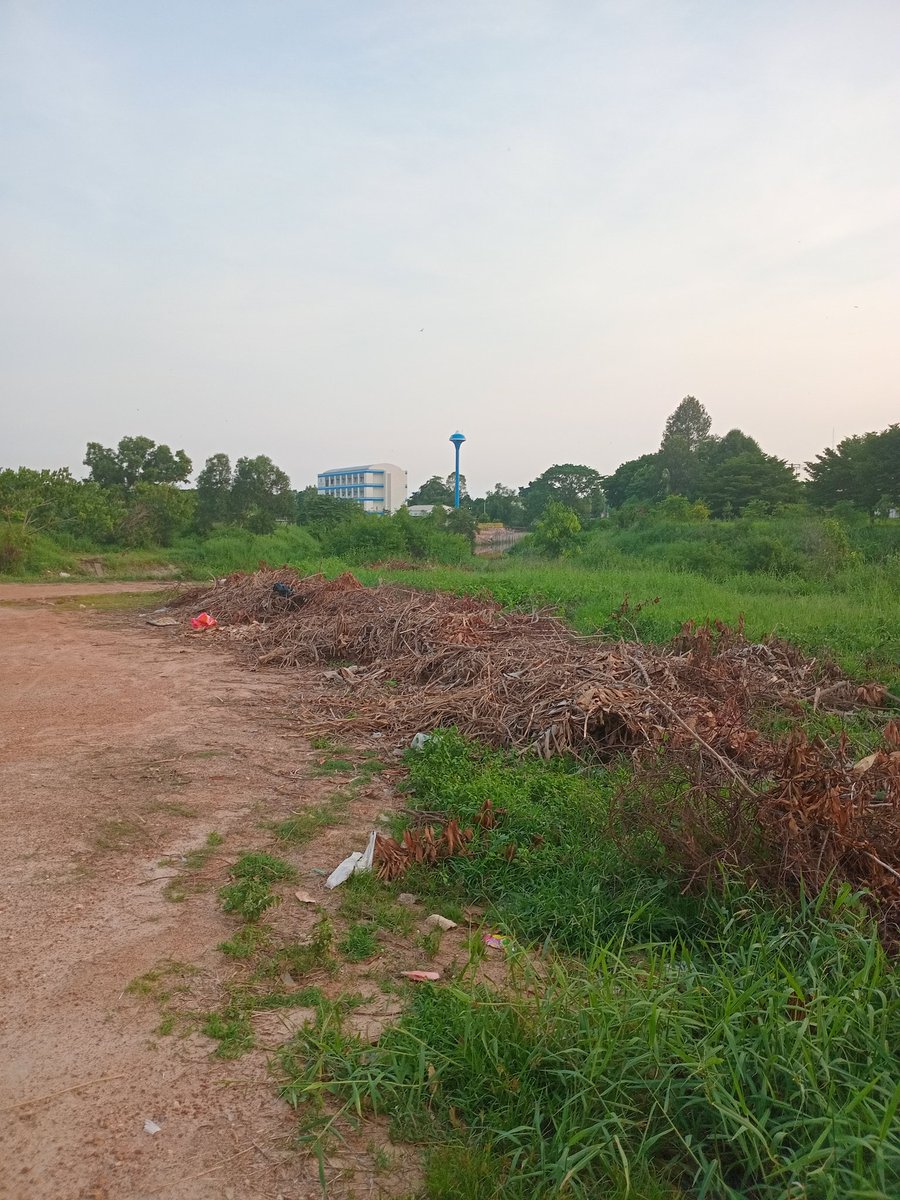 #เหงาจัง เงี่ยนมากตอนนี้
#เอสพีอิน ด่วนๆๆคะ