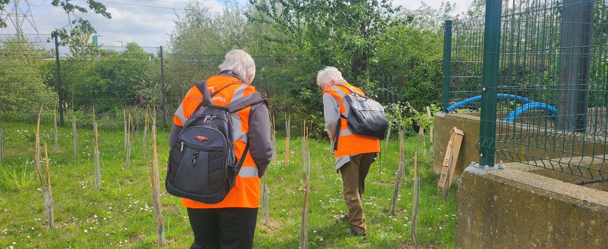 North London Heat and Power Project (@nlhpp) on Twitter photo Barnet’s <a href="/u3a_UK/">u3a</a> took a tour of #NLHPP to see firsthand our newest recycling facilities.
Beyond waste management, the group was captivated by our commitment to local biodiversity, especially the bird boxes and bug hotels! 🐛
More about our tours: northlondonheatandpower.london/community/ecop… Barnet’s <a href="/u3a_UK/">u3a</a> took a tour of #NLHPP to see firsthand our newest recycling facilities.
Beyond waste management, the group was captivated by our commitment to local biodiversity, especially the bird boxes and bug hotels! 🐛
More about our tours: northlondonheatandpower.london/community/ecop…