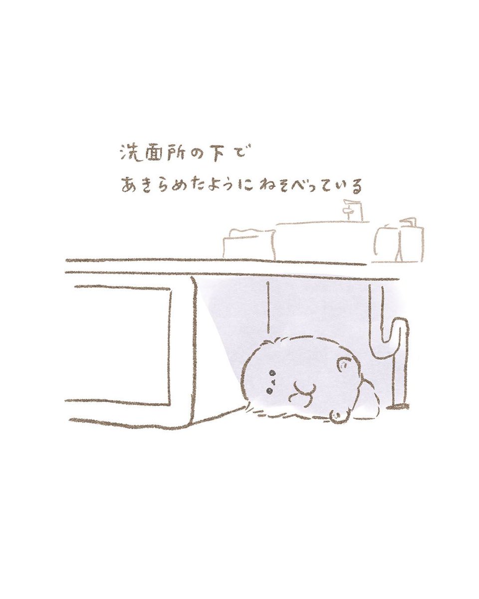 poko_popochi's tweet photo. 『いやなの...』꒰ ՞•ﻌ•՞ ꒱
#春のマンガ祭り #ぽぽち絵日記 https://t.co/ozAC7QoCdC