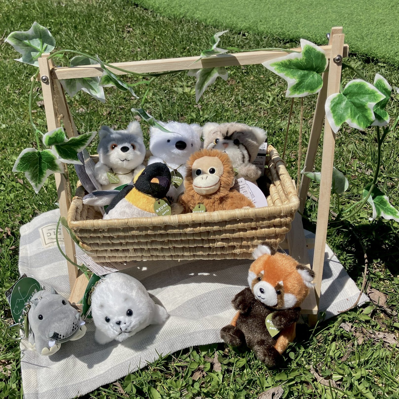 旭山動物園くらぶ on X: 