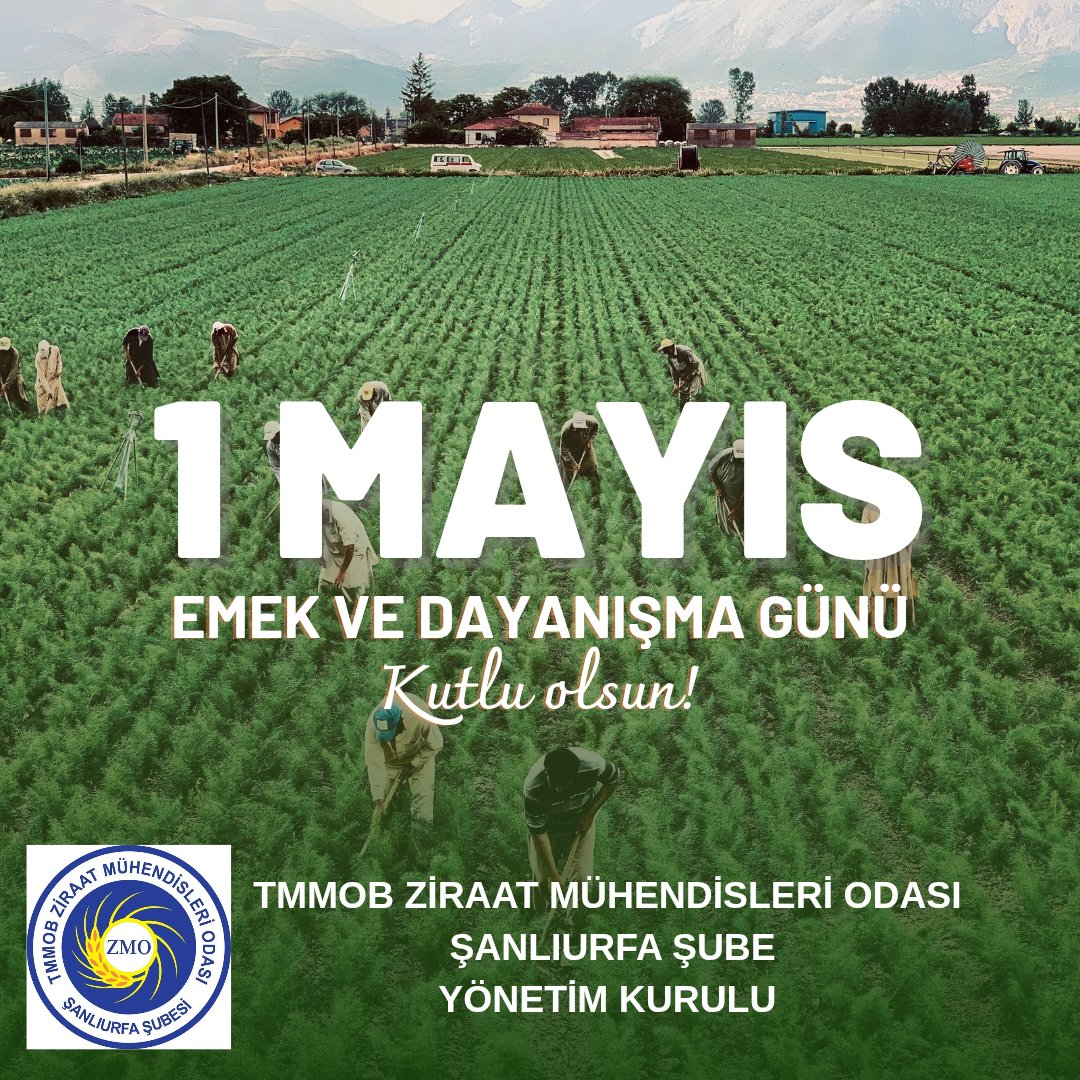 ZMO URFA (@zmo_urfa) on Twitter photo 