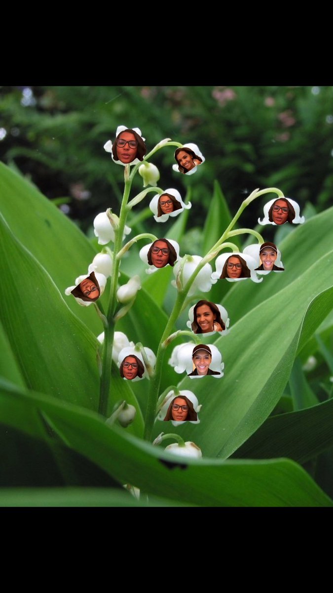 bonjour bon 1er mai à tous
