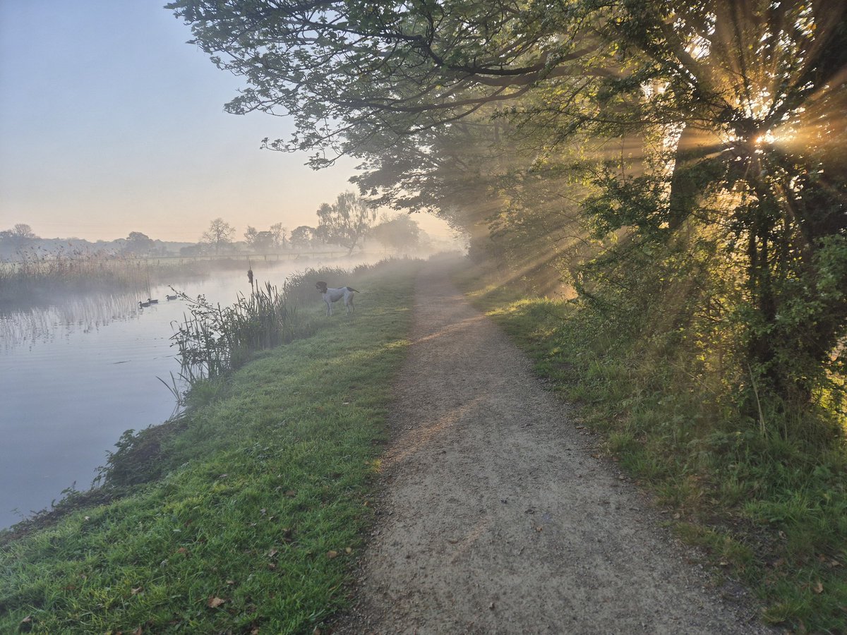 VBarton_LLIM's tweet image. Good Morning 🙏