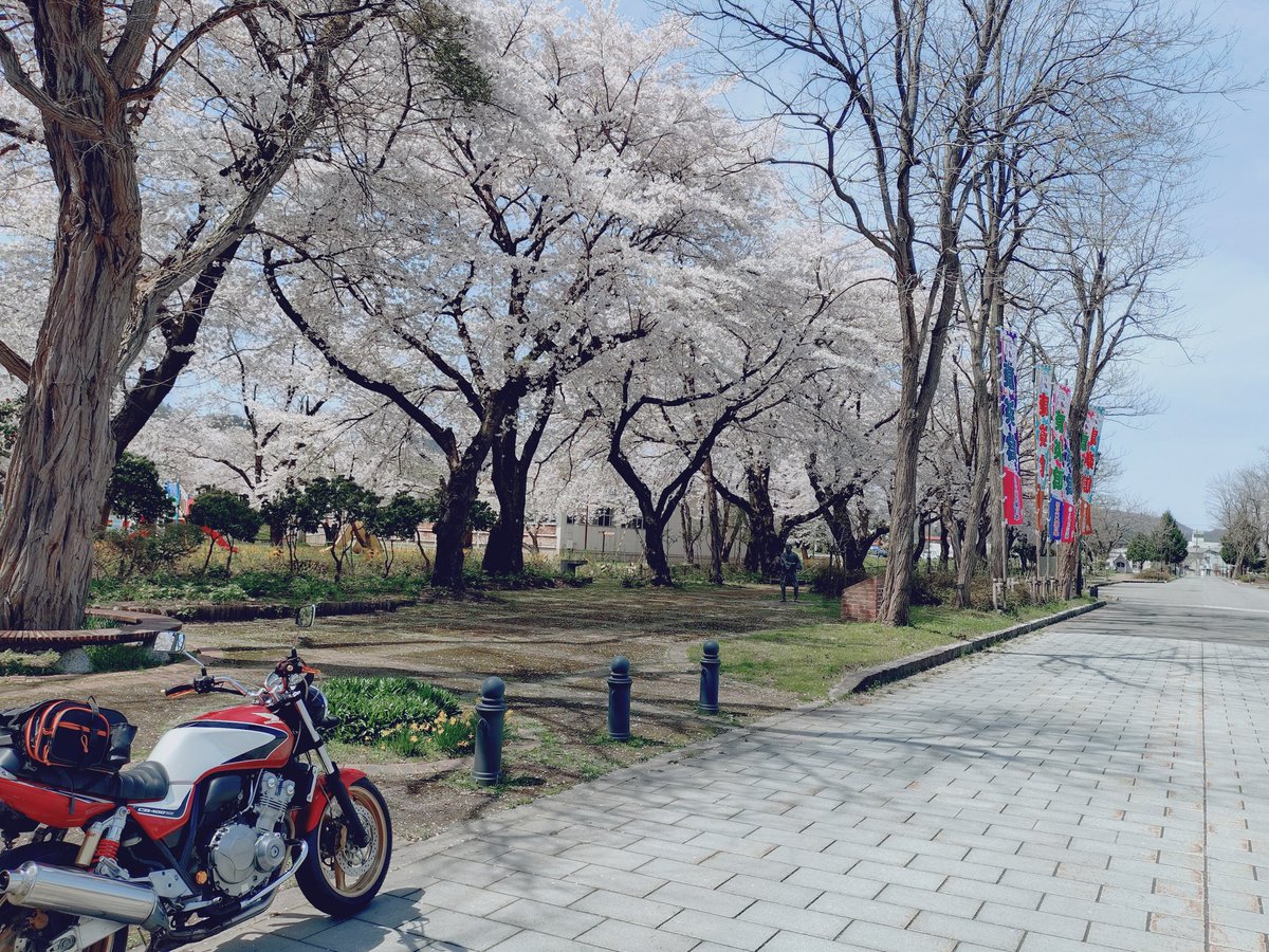 TOMMY01032's tweet photo. 本日はお気に入りの小坂町の明治百年通りに行って来ました。
まだ桜は綺麗に咲いておりました✨
帰りに道の駅上小阿仁に寄り高�����館の馬肉の煮物を買いに行くも売り切れ💦
カワイイマスコットを撮影し帰宅しました✨

＃cb400sf
＃ツーリング
＃小坂町
＃明治百年通り https://t.co/bfu4lywxNA