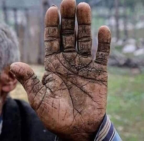 Nasırlı eller, kan çanağı gözler.
Sırtında dünya yükü,
Şiir defterine yevmiye yazar,
Cebinde terleyen tütün,
Ciğerler toz ve duman yuvası.
1 mayısı çalışarak kutlar....

Fırat Kutlu
#1MAYIS