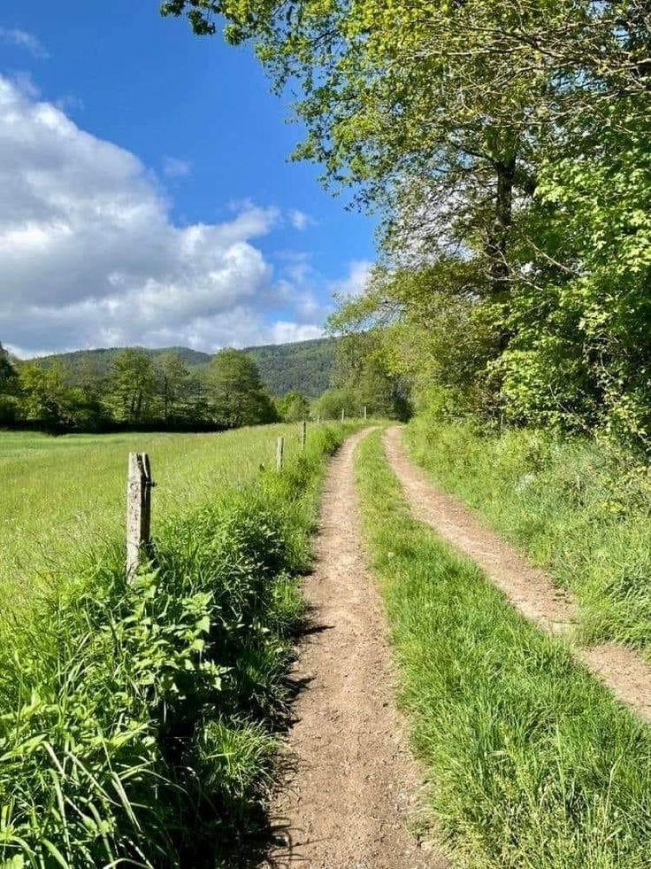 Dobro jutro ☘️
Happy first day of May 🌿🌞🌿

#morning #nature #photo