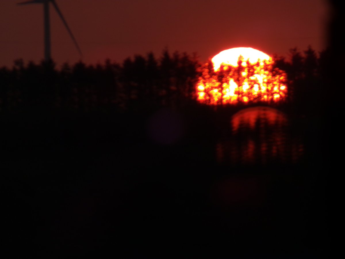 THEY™️are now blocking the sun using trees.
TREES!!!
Is there no end to this madness?