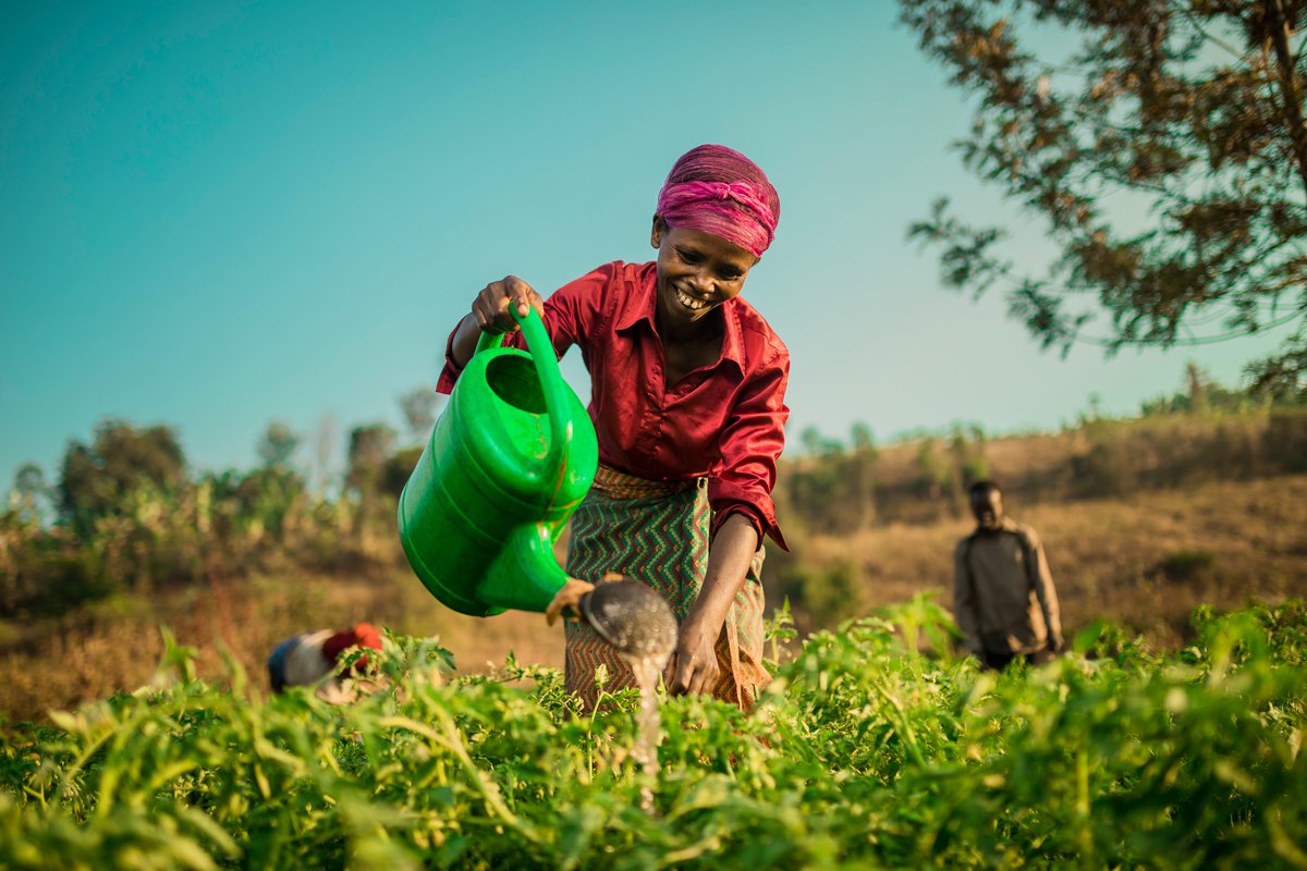 image_rw's tweet photo. Happy Labour Day! Today we honor the strength, dedication, and resilience of every worker whose efforts build our nation. From the farms to factories, offices to construction sites. Your labor is the foundation of #Rwanda’s growth and prosperity. https://t.co/TWYNTQYM9R