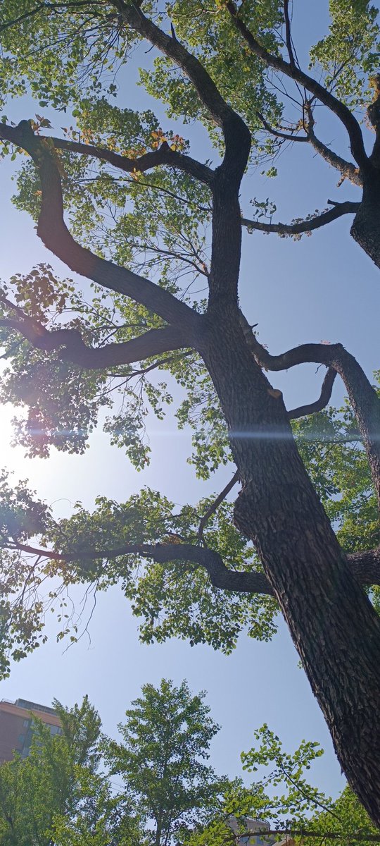 はあ、良い天気