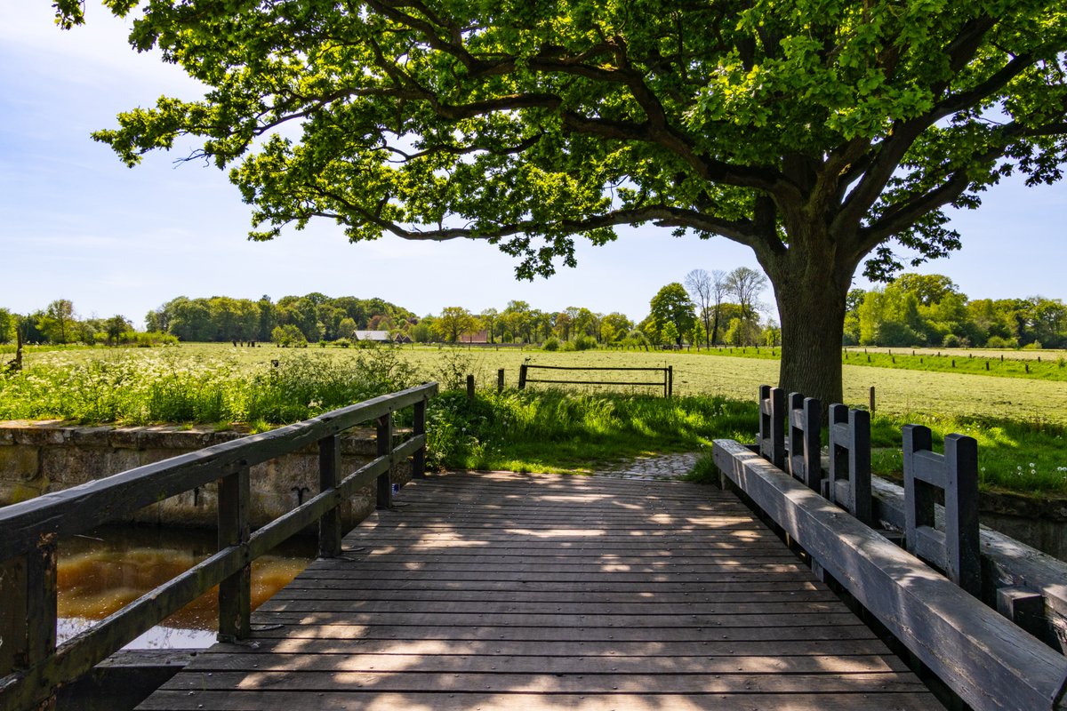 AnnySpoolder's tweet image. Goedemorgen, de zon schijnt net als gisteren weer volop, fijne dag X-vrienden! ☀️⛱️🏝️
watermolen de “Olde  Meule“  in het  voorjaarsgroen. #Oele #Hengelo #mooitwente #overijssel