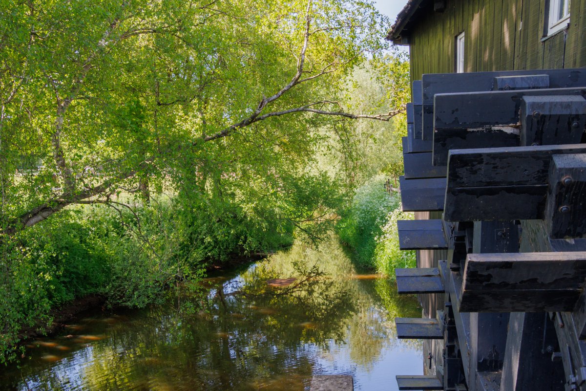 AnnySpoolder's tweet image. Goedemorgen, de zon schijnt net als gisteren weer volop, fijne dag X-vrienden! ☀️⛱️🏝️
watermolen de “Olde  Meule“  in het  voorjaarsgroen. #Oele #Hengelo #mooitwente #overijssel