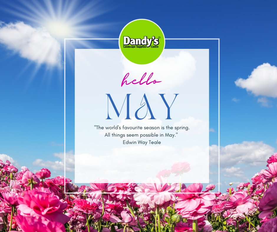 DandysTopsoil's tweet photo. 🌼 Elevate your garden game this May with Dandy's!

￼🖱️ https://t.co/oOYhomOOKn
📞 01244 280008
￼📍 Dandy's, Sealand Road, Chester, CH1 6BS

#May #maygardening #gardening #gardendiy #growyourown #planting #spring #lanscaping https://t.co/ULILIvcx8G