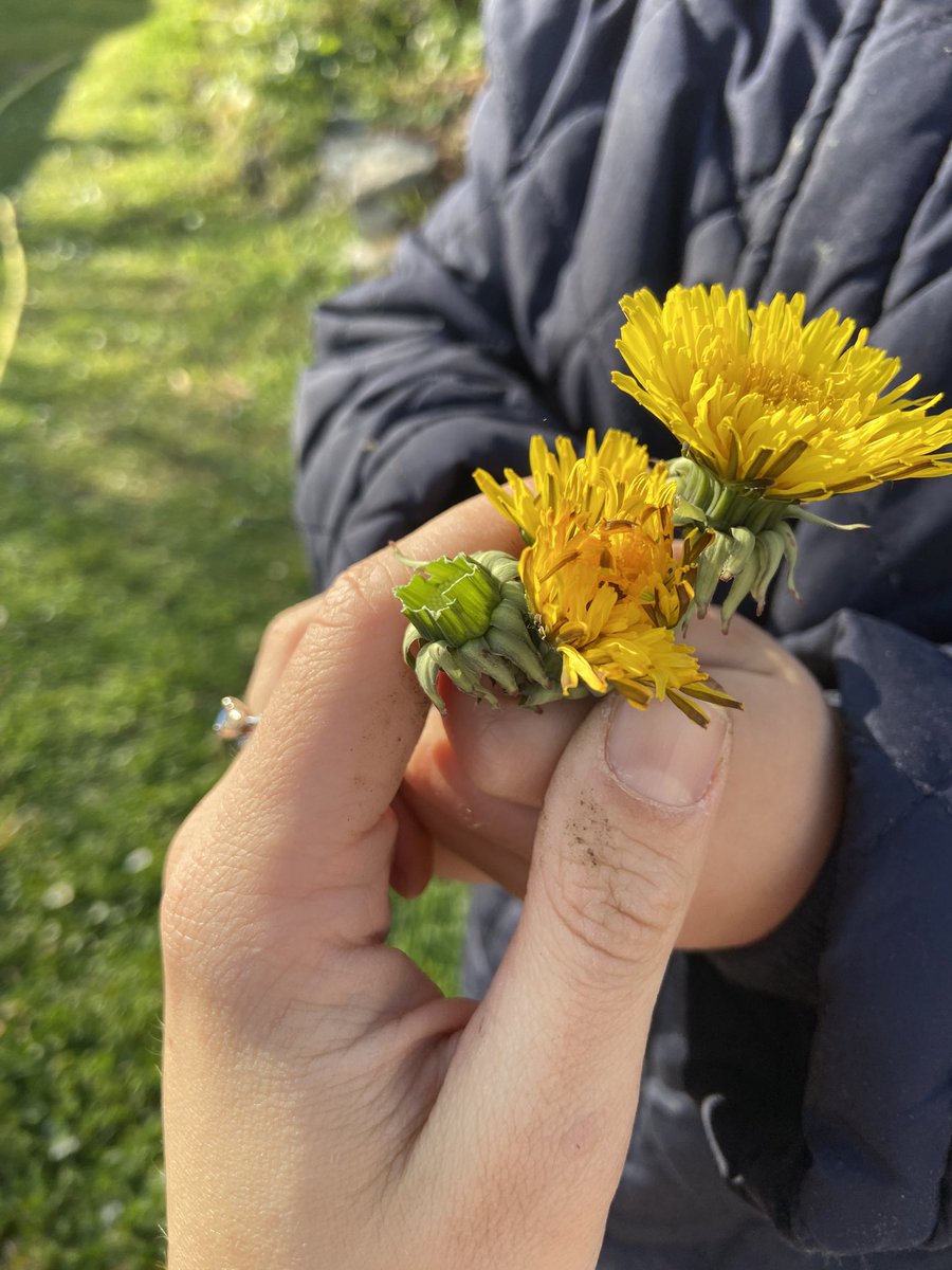 Voici le mois de mai, mois de Beltane et de Marie. C’est le jour des arbres de mai, des rondes d’enfants et du muguet. Joyeux premier mai !