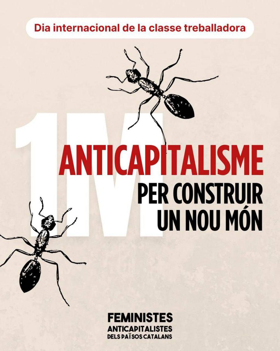 Com cada 1 de Maig les feministes anticapitalistes sortim als carrers. Defensem condicions dignes per a tota la classe treballadora: ni treball precaritzat, ni vides de misèria

Per un 1 de Maig feminista i anticapitalista ❤️🖤

#FemisAnticapisPPCC