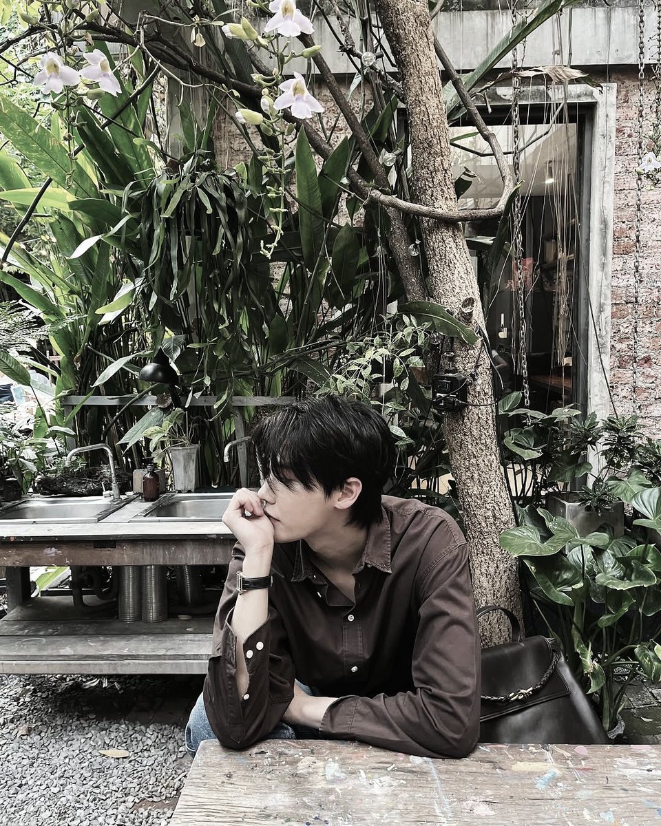 bxagas's tweet image. This café feels like a warm hug from nature.