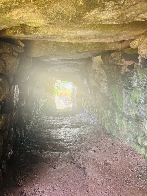 ACERedruth tweet media