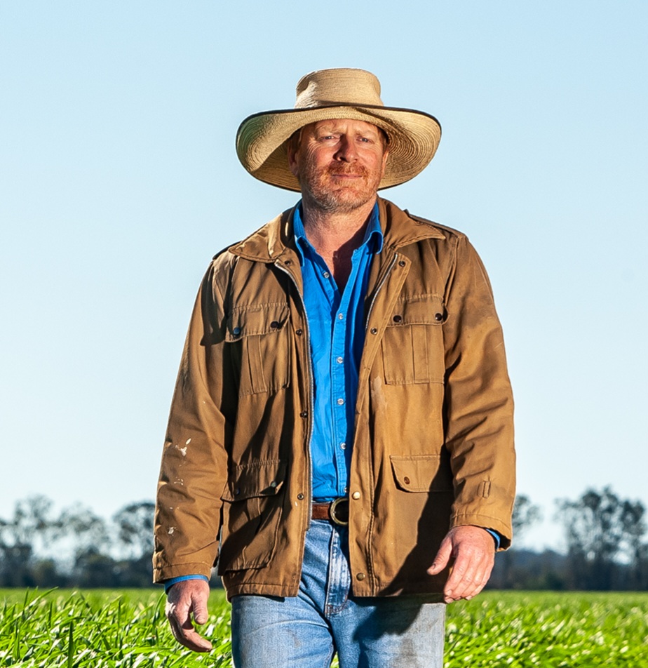 Grain Producers Australia (@grainproducers) on Twitter photo ESCALATING mice numbers have been reported on cropping properties in QLD between January and April 2025 – after a big winter-crop harvest left more feed in paddocks.
MORE with GPA Director & <a href="/AgForceQLD/">AgForce Queensland</a> Grains President Brendan Taylor <a href="/Warraboy/">Brendan Taylor</a> -> rebrand.ly/89a163 ESCALATING mice numbers have been reported on cropping properties in QLD between January and April 2025 – after a big winter-crop harvest left more feed in paddocks.
MORE with GPA Director & <a href="/AgForceQLD/">AgForce Queensland</a> Grains President Brendan Taylor <a href="/Warraboy/">Brendan Taylor</a> -> rebrand.ly/89a163