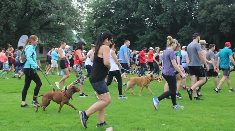 Letter: Lack of maintenance at Gillooly’s Farm causes frustrations

We urge the City of Ekurhuleni to repair the toilet facilities and cut the grass at Gillooly’s Farm says parkrunner.

citizen.co.za/bedfordview-ed…