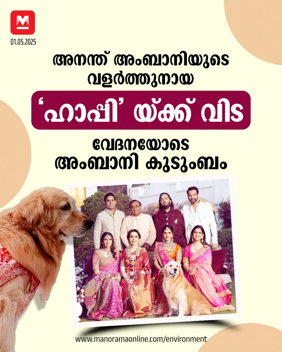 manoramaonline's tweet image. അനന്ത് അംബാനിയുടെയും രാധിക മെർച്ചന്റിന്റെയും വിവാഹാഘോഷങ്ങളിൽ പ്രധാന ആകർഷണം ഗോൾഡൻ റിട്രീവർ ഇനത്തിൽപ്പെട്ട ഹാപ്പിയായിരുന്നു. #MukeshAmbani #Petdog #Happydog  

Read more : mnol.in/kbd2tj8