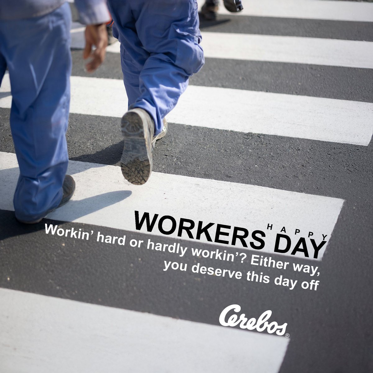 Cerebos_SA's tweet image. Working Hard or Hardly Working?
Either way, You deserve this day off.

#Cerebos #SeeHowItRuns #MoreThanJustSalt  #WorkersDay #dayoff❤️