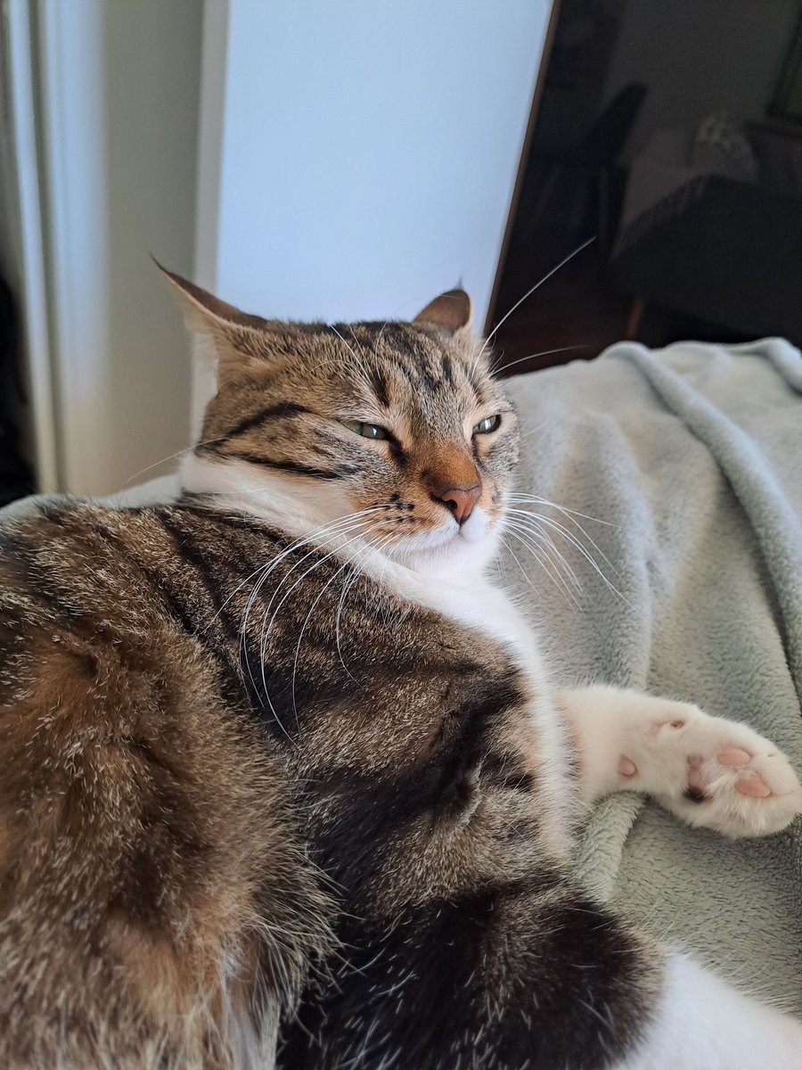 PitPitrouillee's tweet photo. Omg toi aussi tu fais la trend pour imiter @LaSnoopance ??!!
Ouvre plus les yeux la prochaine fois mais t'es pas loin ma puce https://t.co/b6GQBFPZk5