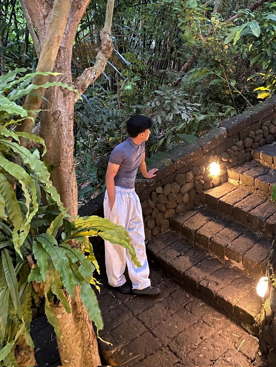 dmnemon's tweet image. coffee in nature