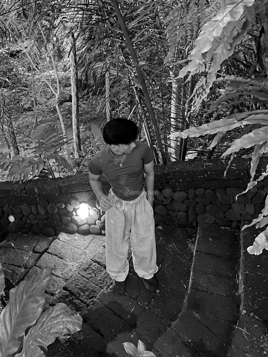 dmnemon's tweet image. coffee in nature