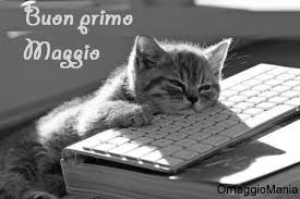 miriam71514894's tweet photo. #iolavoro😸 https://t.co/zrVIQ5L6Fz