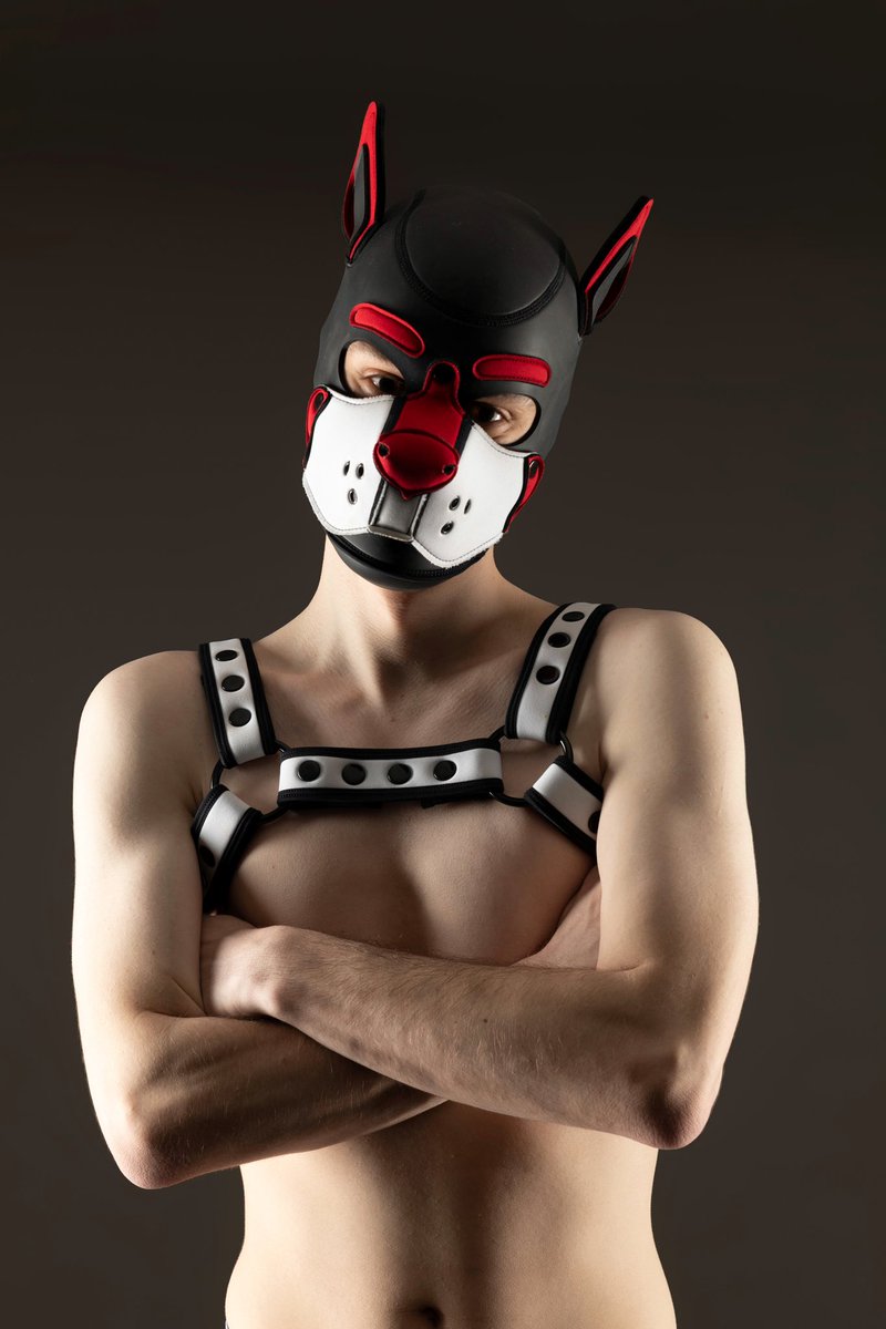 Give people what they want!

#puppyplay