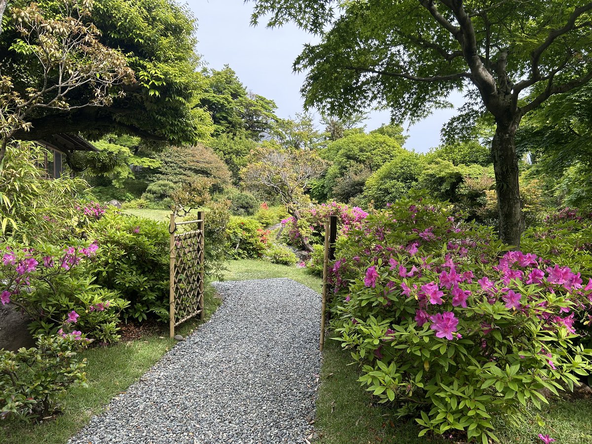 JF28taku's tweet photo. 25弾小田原市のマンホールカードを頂きました。
皆春荘とても落ち着ける良い所でした。
#マンホールカード 
#小田原市
#皆春荘 https://t.co/CILU1SmDur