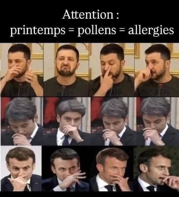 politicar9's tweet image. Et pendant ce temps là, votre &quot;ami&quot; le clown ukrainien vous l&apos;a mis bien profond avec Trump, celui que tout le monde prend pour un débile !!😂😂🤣🤣 Quelle rigolade !! Les européens sont une belle bande d&apos;abrutis !! 😂😂🤣🤣🦧🦧🤡🤡 Un accord historique !!😂🤣