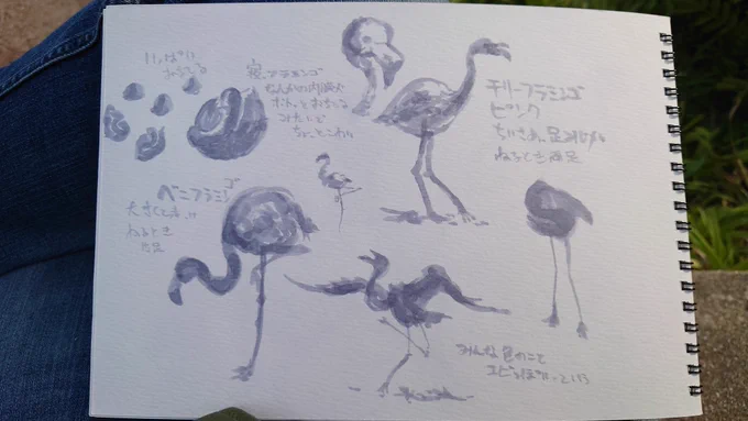 たっぷり一周楽しんだな…… 