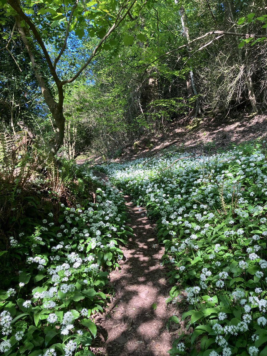 So beautiful <a href="/SomersetWT/">Somerset Wildlife Trust</a> <a href="/quantockhills/">Quantock Hills National Landscape</a>