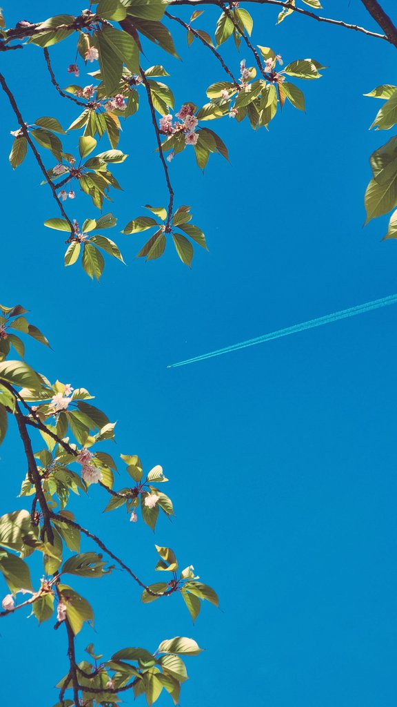 Let’s see your “Minimalist” Photographs

😉