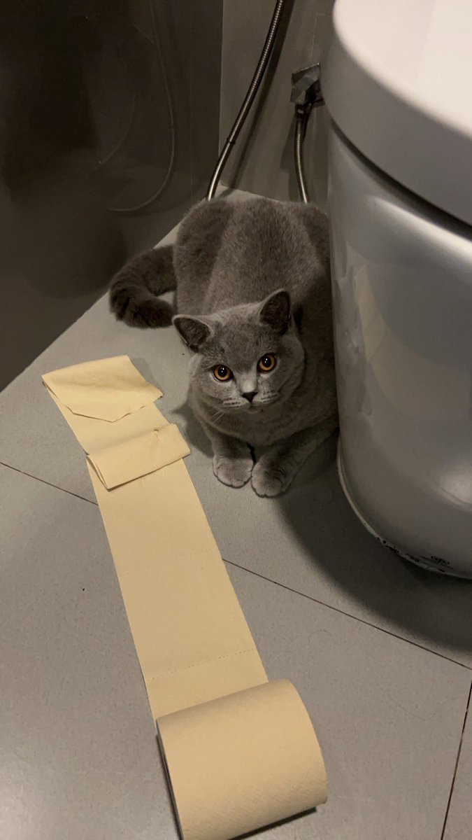 Every journey has its own beauty .. Just go with the flow.😹