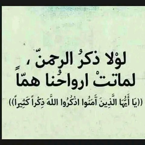 مخاوي الليل (@mkhawyally29665) on Twitter photo 