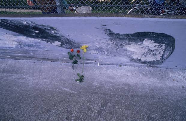 現役のチャンピオン経験者が、決勝レースでトップ走行中に事故死した。
その悲劇にファンならずともショックを受けたわけですけど、世界では母国ブラジルの次に日本人が悲しんでいたことを取材後帰国してから知りました、あれは驚きました。