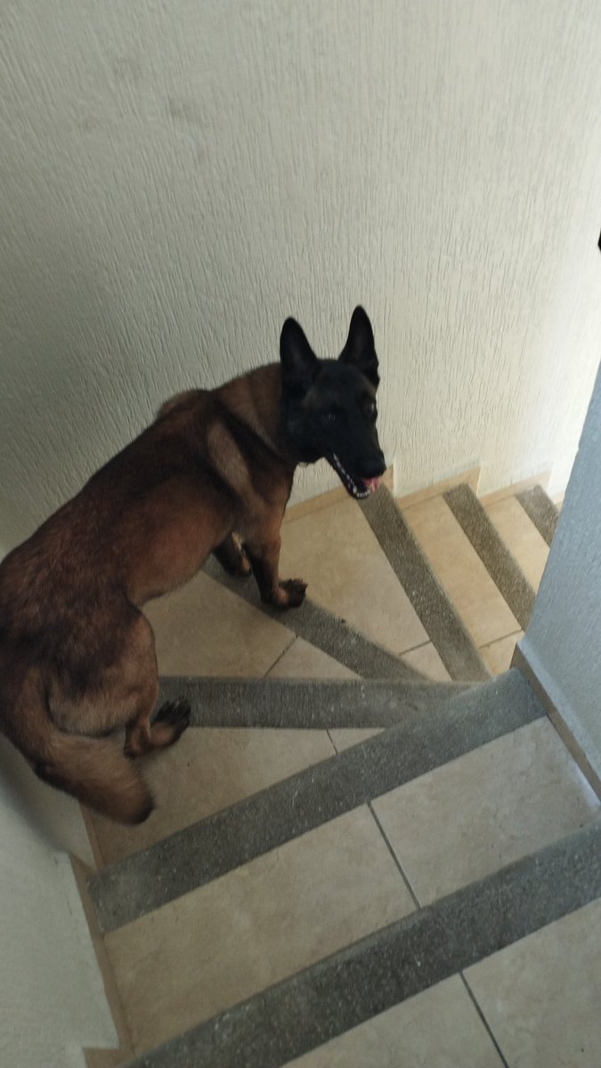 Moved to a new apt, it's nicer. I'm finally back, I'll release more animations after I finish contract stuff and some comms