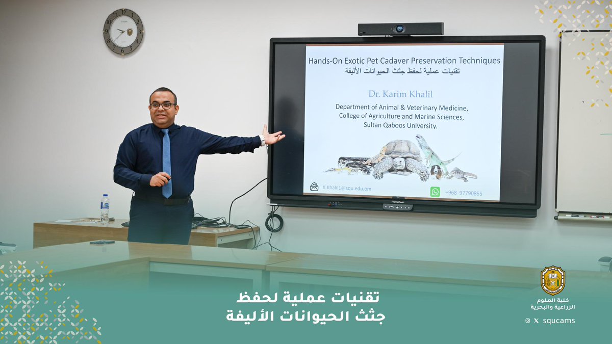 squcams's tweet photo. قدّم الدكتور كريم خليل من قسم علوم الحيوان والبيطرة ورشة علمية متخصصة في فن تحنيط الحيوانات، شارك فيها موظفو حديقة النخلة وعدد من طلبة القسم والمهتمين. تناولت الورشة مبادئ وأساليب التحنيط نظريًا، تلاها تطبيق عملي على نماذج من الزواحف والطيور والسلاحف والقوارض. https://t.co/MTIoOIMWjY