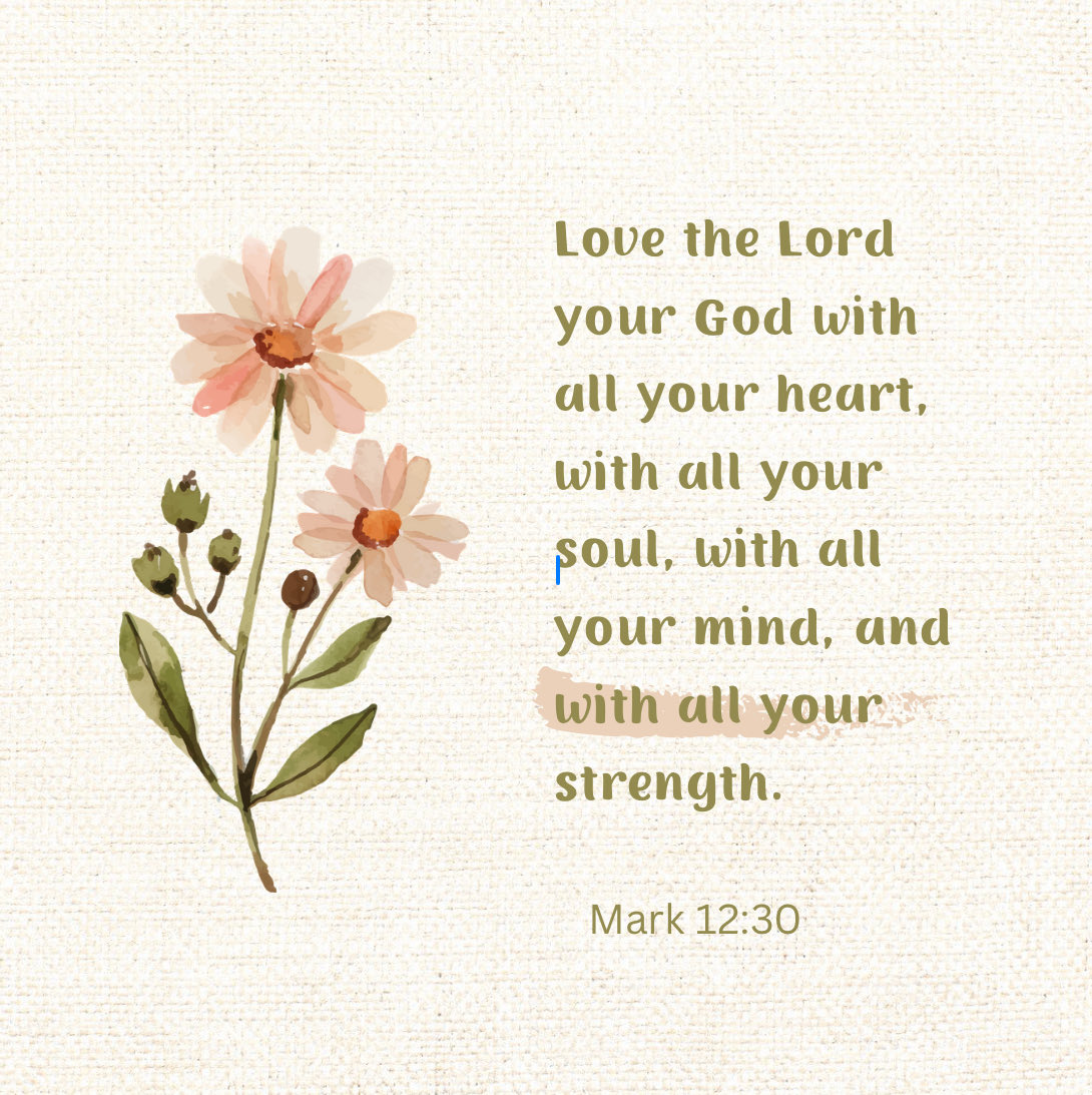 Tonya Roberts Raines (@tonyarraines) on Twitter photo 