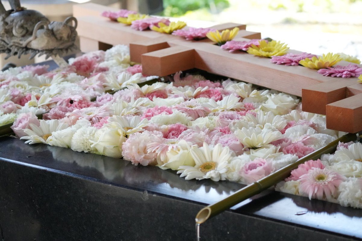 神社をお散歩🚶🌸