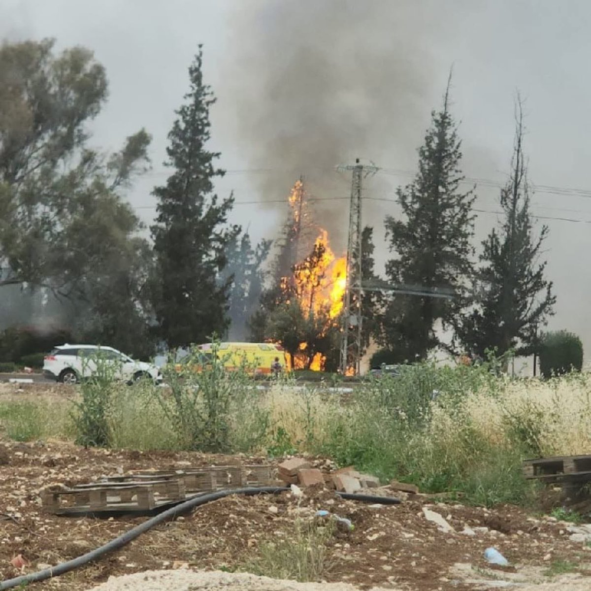 IFRC Europe tweet media