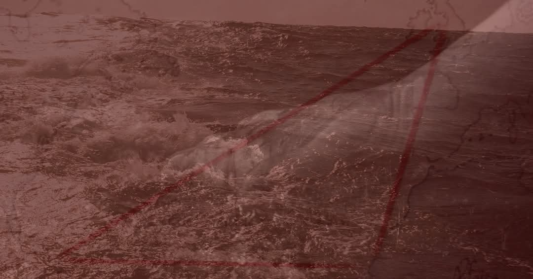 Timespan tweet media