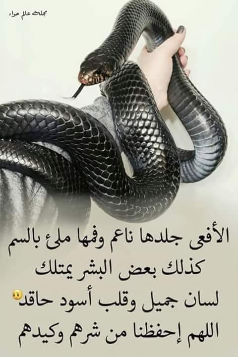 ABu mohamed (@ommohamed121981) on Twitter photo 