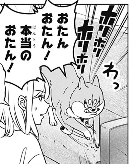 今日の推シバ(おしば)です🐕" たんしゃたんしゃ💛
#シバつき物件 

https://t.co/hgIX2w1G5d 