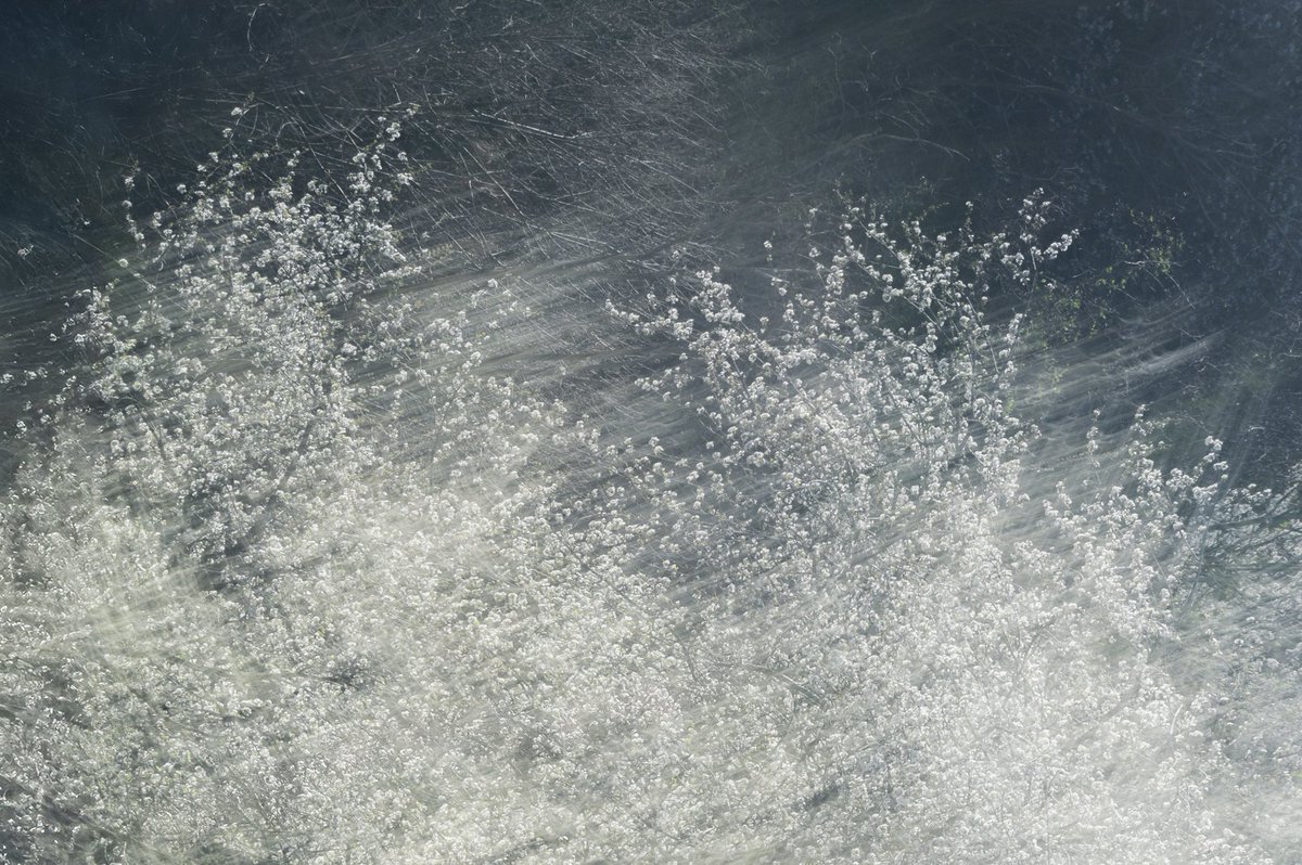 🌊The Flow(ers)🌸

The flowing water, the wind among flowers, the setting and rising sun, the passing seasons. In this flow, life manifests itself, sometimes terrible, sometimes wonderful, but always unique

Limited edition fineart print availabe. Write me!
#nature #fineartprints