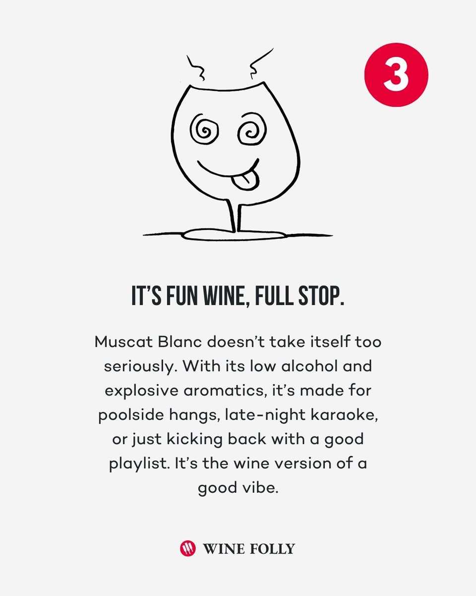 WineFolly's tweet image. Did you answer yesterday's "Guess This Grape" correctly?  It’s older than your grandma’s grandma. It has more stamps in its passport than you do. 🎉 And it definitely knows how to party. 

🎯 Learn more at winefolly.com/grapes/muscat-…

#muscatblanc #moscato #whitewine #grapevariety